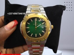 Montre BESTWIN en deux tons (couleur argent et or )