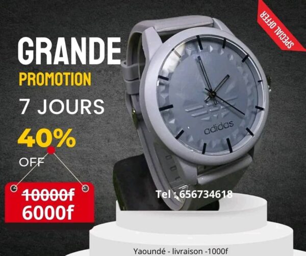 Montre EM - couleur grise